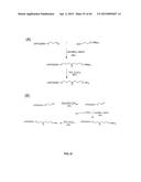 COMPOSITIONS CONTAINING, METHODS INVOLVING, AND USES OF NON-NATURAL AMINO     ACIDS AND POLYPEPTIDES diagram and image