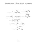 COMPOSITIONS CONTAINING, METHODS INVOLVING, AND USES OF NON-NATURAL AMINO     ACIDS AND POLYPEPTIDES diagram and image