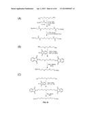 COMPOSITIONS CONTAINING, METHODS INVOLVING, AND USES OF NON-NATURAL AMINO     ACIDS AND POLYPEPTIDES diagram and image