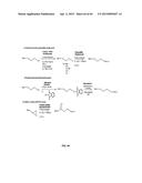 COMPOSITIONS CONTAINING, METHODS INVOLVING, AND USES OF NON-NATURAL AMINO     ACIDS AND POLYPEPTIDES diagram and image