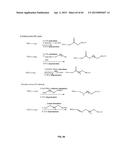 COMPOSITIONS CONTAINING, METHODS INVOLVING, AND USES OF NON-NATURAL AMINO     ACIDS AND POLYPEPTIDES diagram and image