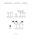 BORATE MOIETY-CONTAINED LINKER AND BIO-SENSING ELEMENT CONTAINING THE SAME diagram and image