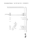 B-LACTAMASE INHIBITOR PICOLINE SALT diagram and image