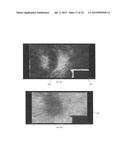 COMBINING MULTIPLE GEOPHYSICAL ATTRIBUTES USING EXTENDED QUANTIZATION diagram and image