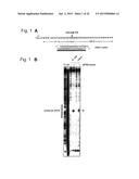 RNA-INTERFERENCE BY SINGLE-STRANDED RNA MOLECULES diagram and image