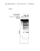 RNA-INTERFERENCE BY SINGLE-STRANDED RNA MOLECULES diagram and image