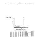 RNA-INTERFERENCE BY SINGLE-STRANDED RNA MOLECULES diagram and image