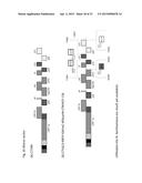 CITRUS TRISTEZA VIRUS BASED VECTORS FOR FOREIGN GENE/S EXPRESSION diagram and image