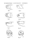 Contoured pick and a method of multiple variations of 3D CAD models diagram and image