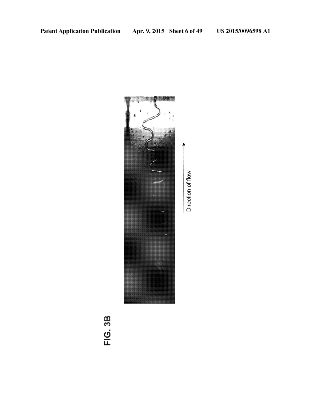 METHOD FOR CLEANING PASSAGEWAYS USING FLOW OF LIQUID AND GAS - diagram, schematic, and image 07