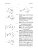 ORGANIC ELECTROLUMINESCENT MATERIALS AND DEVICES diagram and image