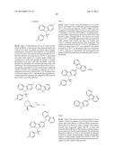 ORGANIC ELECTROLUMINESCENT MATERIALS AND DEVICES diagram and image