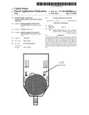 MICROFLUIDIC CHIP WITH FLOW-GUIDING BODY AND APPLICATIONS THEREOF diagram and image