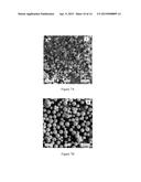 Particulate Materials And Compositions For Radio Therapy diagram and image