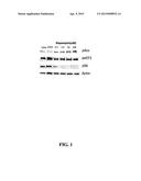 COMPOSITIONS AND METHODS FOR TREATMENT OF VITILIGO diagram and image