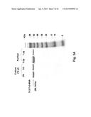 CD40L-SPECIFIC TN3-DERIVED SCAFFOLDS AND METHODS OF USE THEREOF diagram and image