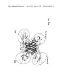 CD40L-SPECIFIC TN3-DERIVED SCAFFOLDS AND METHODS OF USE THEREOF diagram and image