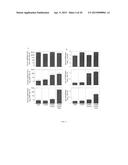 Recombinant polypeptide construct comprising multiple enterotoxigenic     Escherichia coli fimbrial subunits diagram and image