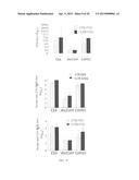 Recombinant polypeptide construct comprising multiple enterotoxigenic     Escherichia coli fimbrial subunits diagram and image