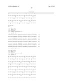 Recombinant polypeptide construct comprising multiple enterotoxigenic     Escherichia coli fimbrial subunits diagram and image