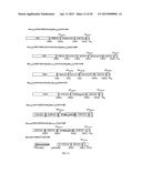 Recombinant polypeptide construct comprising multiple enterotoxigenic     Escherichia coli fimbrial subunits diagram and image