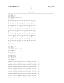 Recombinant polypeptide construct comprising multiple enterotoxigenic     Escherichia coli fimbrial subunits diagram and image