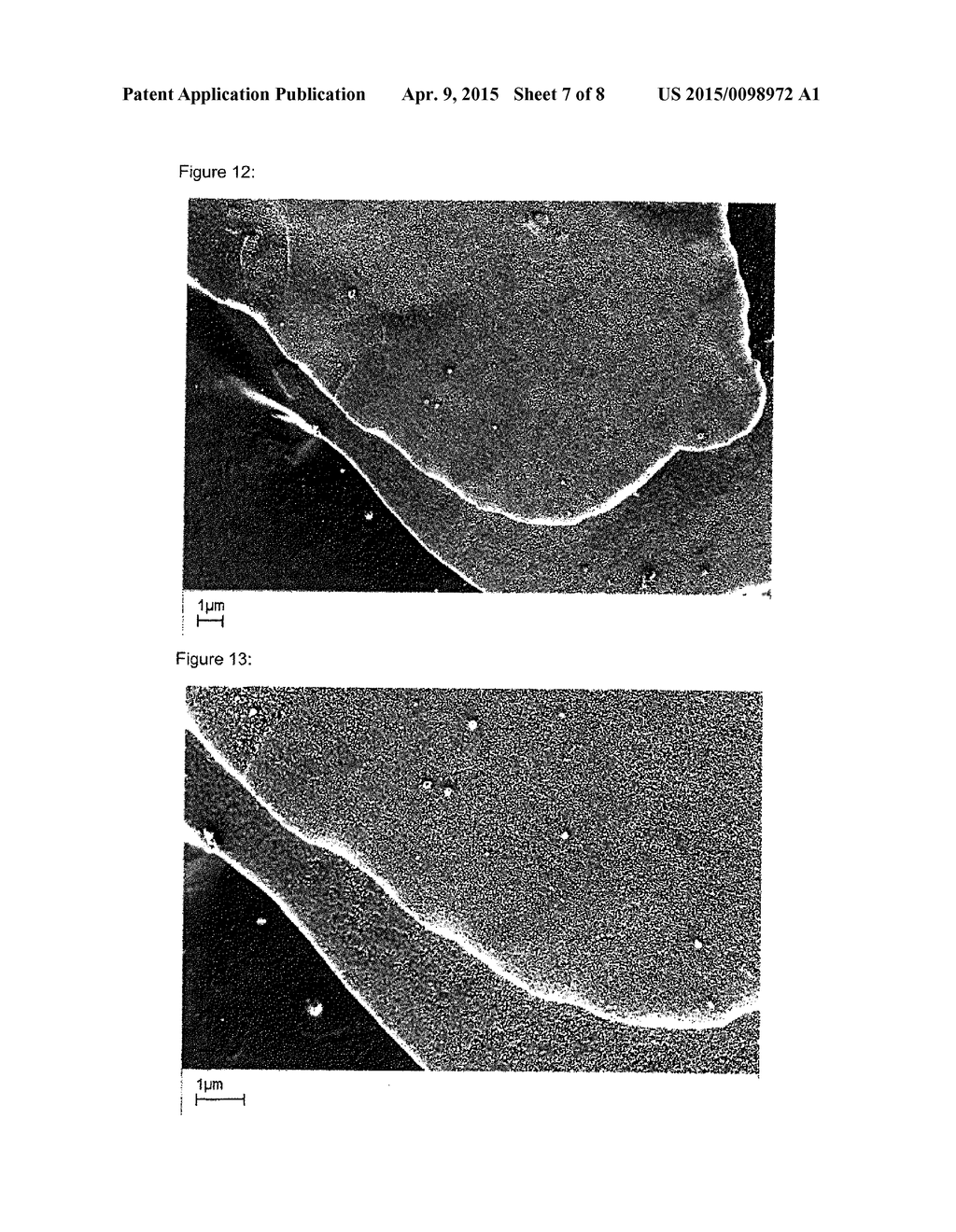 Coated, Wet-Chemically Oxidized Aluminum Effect Pigments, Method for the     Production Thereof, Coating Agent and Coated Object - diagram, schematic, and image 08