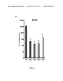 PEPTIDES THAT TARGET DORSAL ROOT GANGLION NEURONS diagram and image