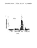 PEPTIDES THAT TARGET DORSAL ROOT GANGLION NEURONS diagram and image