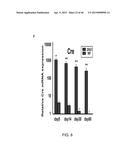 PEPTIDES THAT TARGET DORSAL ROOT GANGLION NEURONS diagram and image