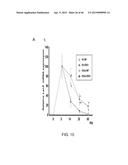 PEPTIDES THAT TARGET DORSAL ROOT GANGLION NEURONS diagram and image