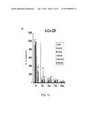 PEPTIDES THAT TARGET DORSAL ROOT GANGLION NEURONS diagram and image