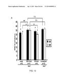 PEPTIDES THAT TARGET DORSAL ROOT GANGLION NEURONS diagram and image