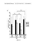 PEPTIDES THAT TARGET DORSAL ROOT GANGLION NEURONS diagram and image