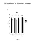 PEPTIDES THAT TARGET DORSAL ROOT GANGLION NEURONS diagram and image