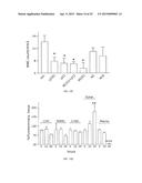 Nanocell Drug Delivery System diagram and image