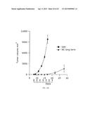 Nanocell Drug Delivery System diagram and image