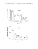 Nanocell Drug Delivery System diagram and image