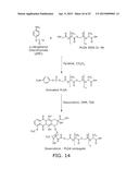 Nanocell Drug Delivery System diagram and image