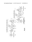 HIGH TEMPERATURE HYBRIDIZED MOLECULAR FUNCTIONAL GROUP ADHESION BARRIER     COATING AND METHOD diagram and image