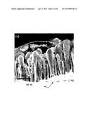 Lithium-ion Battery Anode Including Core-Shell Heterostructure of Silicon     Coated Vertically Aligned Carbon Nanofibers diagram and image