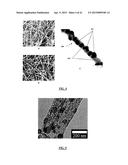 LITHIUM ION BATTERIES COMPRISING NANOFIBERS diagram and image