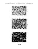 LITHIUM ION BATTERIES COMPRISING NANOFIBERS diagram and image