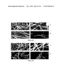 LITHIUM ION BATTERIES COMPRISING NANOFIBERS diagram and image