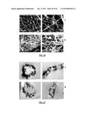 LITHIUM ION BATTERIES COMPRISING NANOFIBERS diagram and image