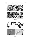 LITHIUM ION BATTERIES COMPRISING NANOFIBERS diagram and image