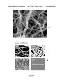 LITHIUM ION BATTERIES COMPRISING NANOFIBERS diagram and image