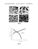 LITHIUM ION BATTERIES COMPRISING NANOFIBERS diagram and image