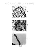 LITHIUM ION BATTERIES COMPRISING NANOFIBERS diagram and image