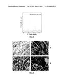 LITHIUM ION BATTERIES COMPRISING NANOFIBERS diagram and image